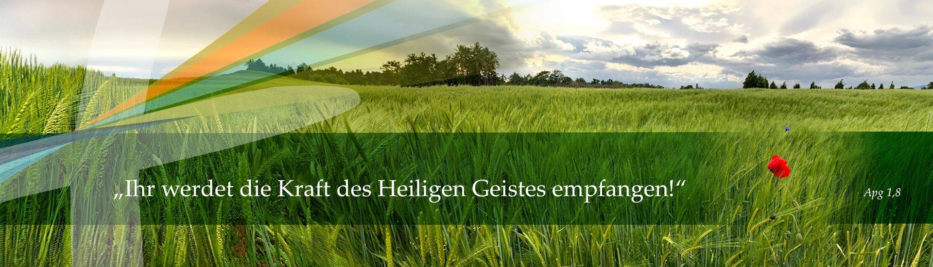 Quelle: Robert Nellis